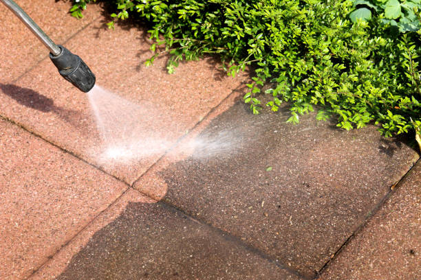 Best Gutter Cleaning in Maysville, NC